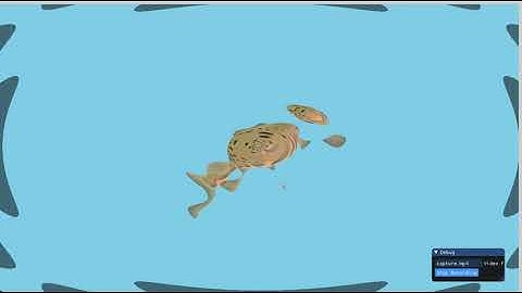 Ripple Fish OpenGL