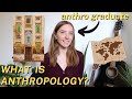 What is anthropology  anthropology graduate explains subfields key terms jobs  more