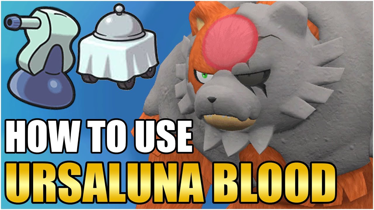 Best Ursaluna Bloodmoon Moveset Guide How To Use Ursaluna Competitive