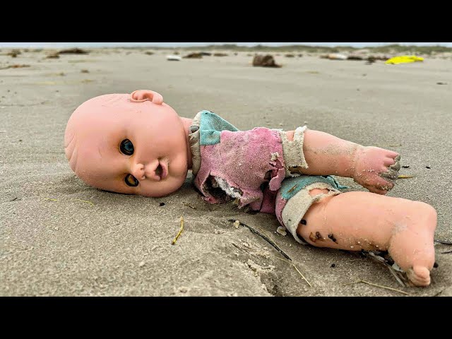 sex doll washed up on beach Creepy dolls washing ashore in Texas are being used to help birds and sea  turtles