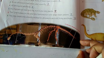 Class-4 G.k Chapter-5   (The Dinosaurs)   By:-   Kishan Sir