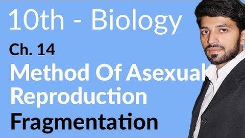10th Class Biology Chapter 5 - Fragmentation - Class 10 Biology Chapter 14