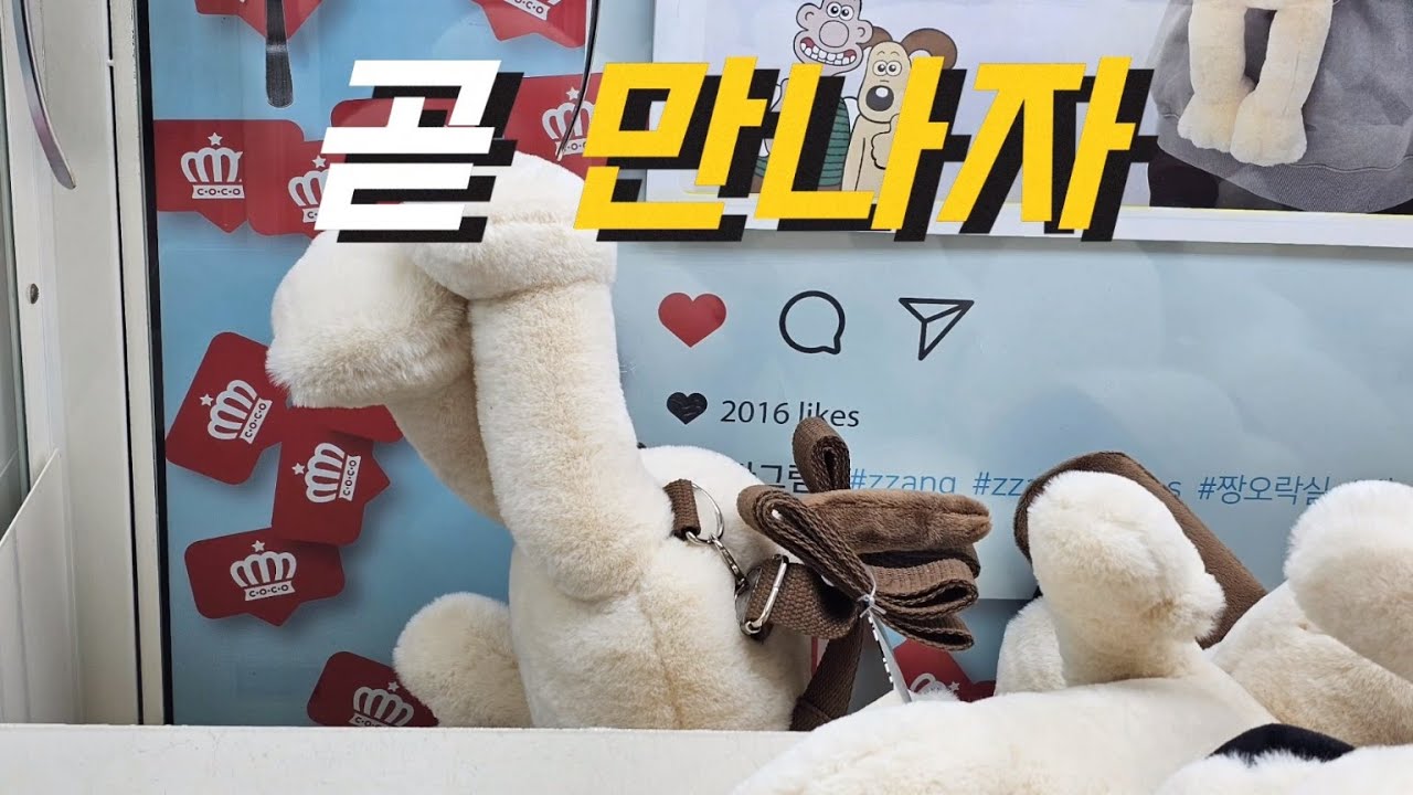 대유행✨ 신상 그로ㅁ 대형 인형 뽑기 도전! 그런데...?!