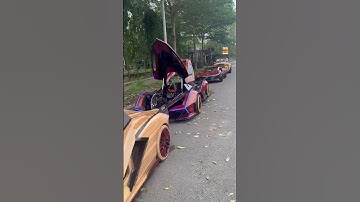 It took me 3 years to build this supercar collection! #homemade #shots