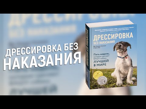 ОБЗОР НА КНИГУ ДОН СИЛЬВИЯ-СТАСИЕВИЧА И ЛАРРИ КЕЙ 