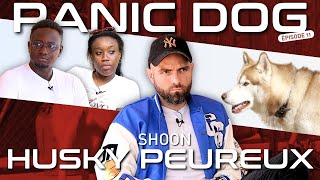 Husky PEUREUX - PANIC DOG Ep11