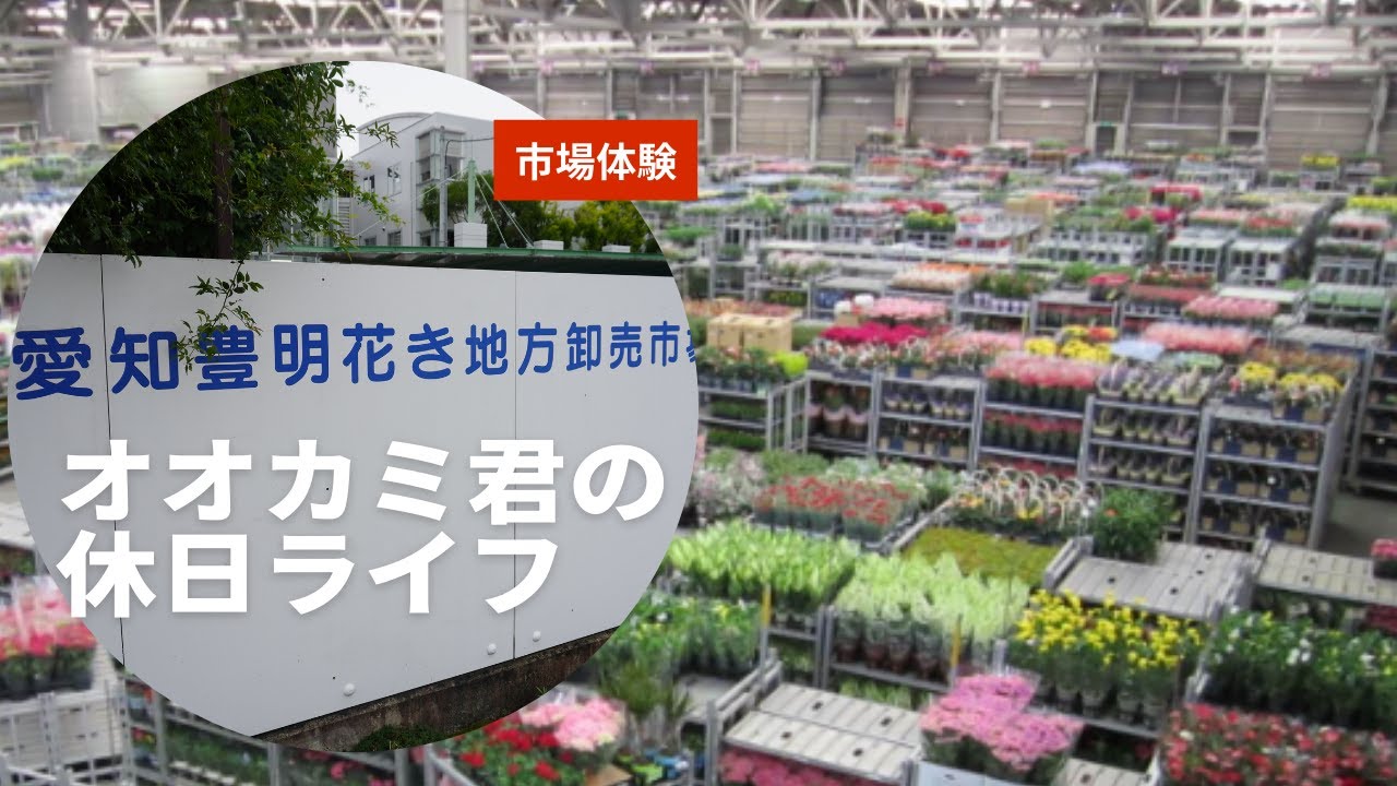 オオカミ君の休日散歩 豊明花き市場に見学 Youtube
