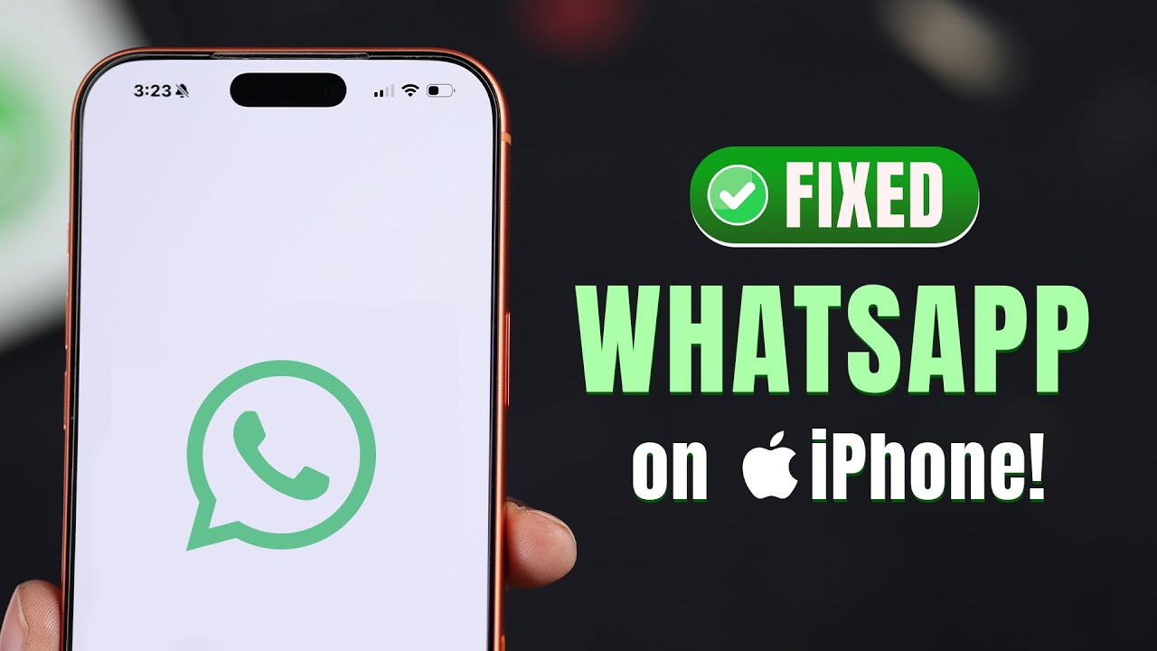 How to Fix WhatsApp Not Working on iPhone! [Problem Solve]