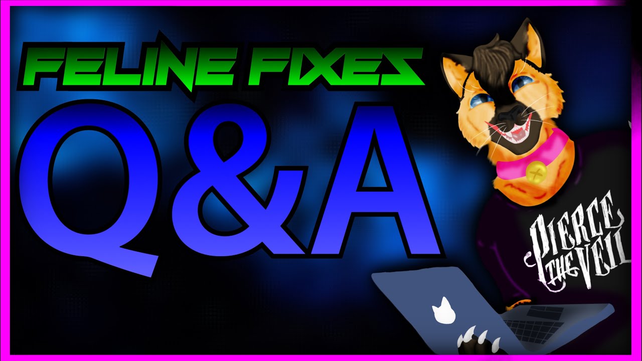 The FelineTechie Q&A!