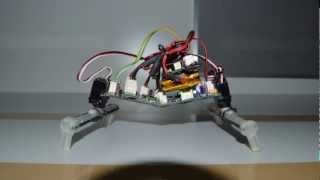 Soft Body Robot NYU Abu Dhabi Team (EmbedIT Competition - ShanghAI Lectures 2012) screenshot 4