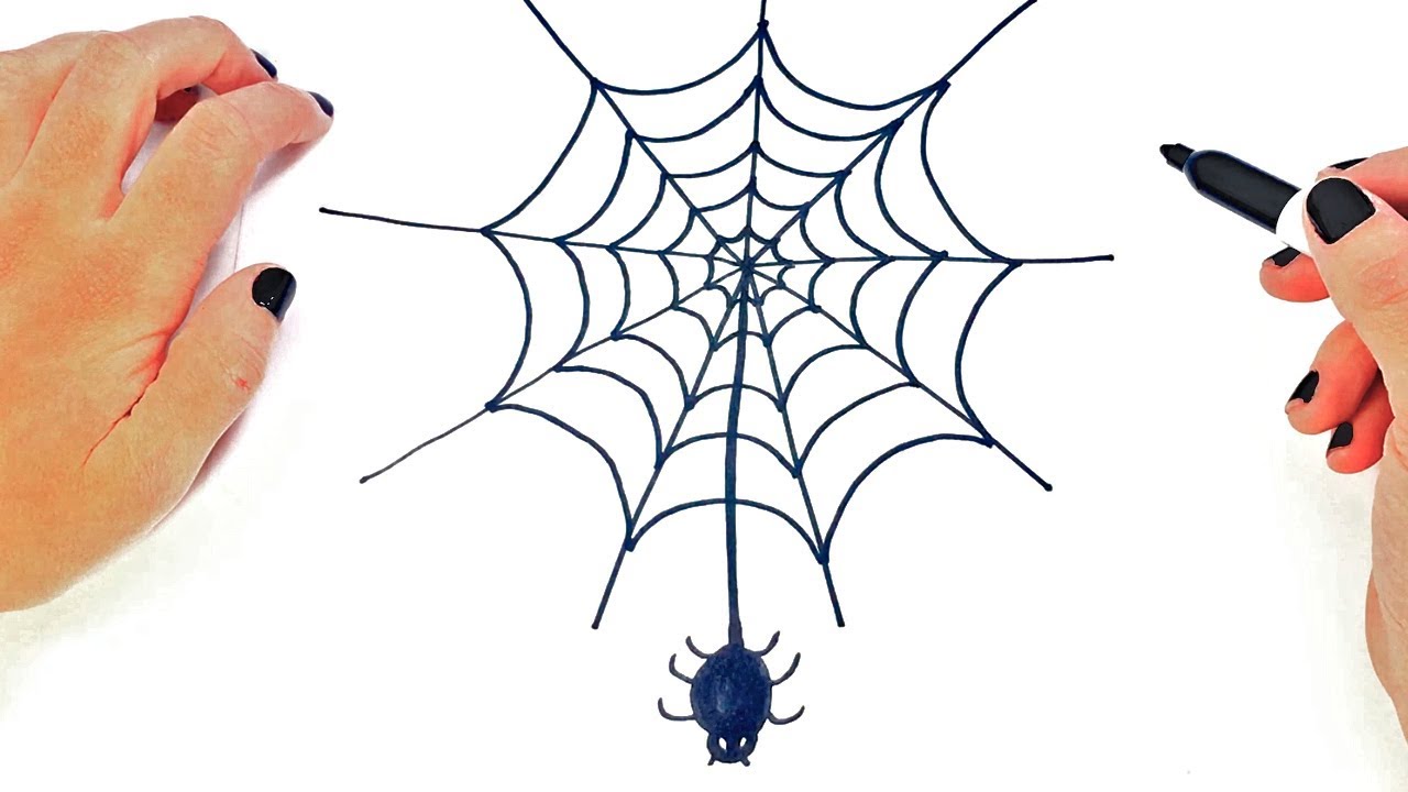 How to draw a Spider Web Step by Step | Easy drawings - YouTube