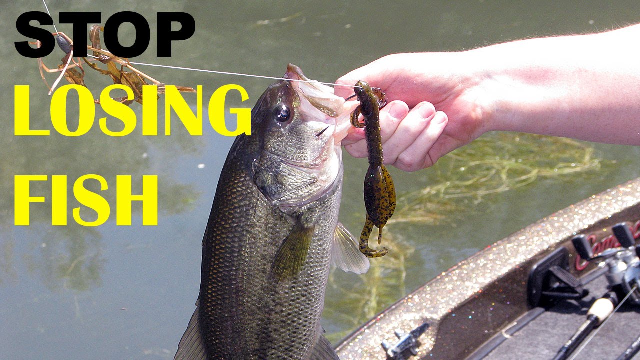 How To Never Lose A Fish YouTube