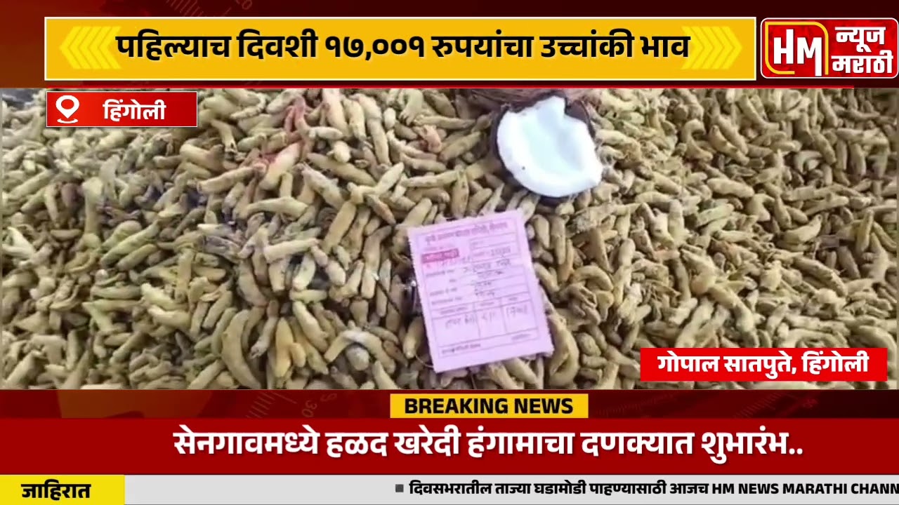 सेनगावमध्ये हळद खरेदी हंगामाचा दणक्यात शुभारंभ पहिल्याच दिवशी 17001 रुपयांचा भाव