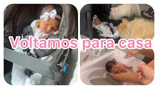 Vlog:  Alta da maternidade + reação da Pompom e da Gigi conhecendo a Lulu + primeiro banho em casa