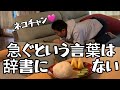 我が家の朝活20251208〜ようやく普通の暮らしが出来る朝〜