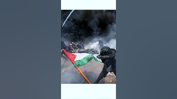 حين يأتى وعد الله… تلاوة تخترق القلب 💔 | ياسر الدوسري | سورة الروم آية٤#قرآن_كريم #فلسطين 🇵🇸