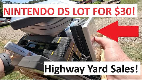 THEY BROUGHT OUT A BASKET FILLED WITH NINTENDO DS VIDEO GAMES AT THIS HIGHWAY YARD SALE!
