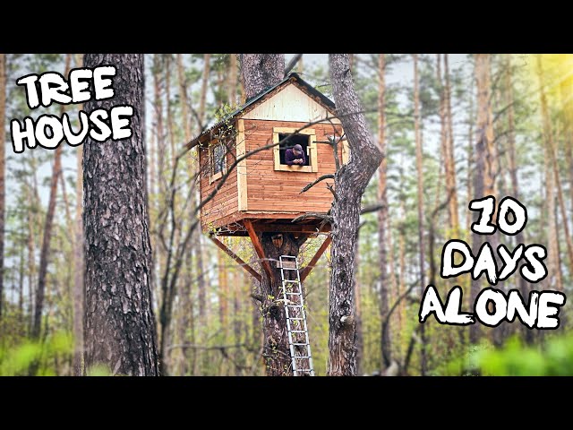 10 Days Alone In The TREE HOUSE: Live in the forest from July to October in 1 hour! class=