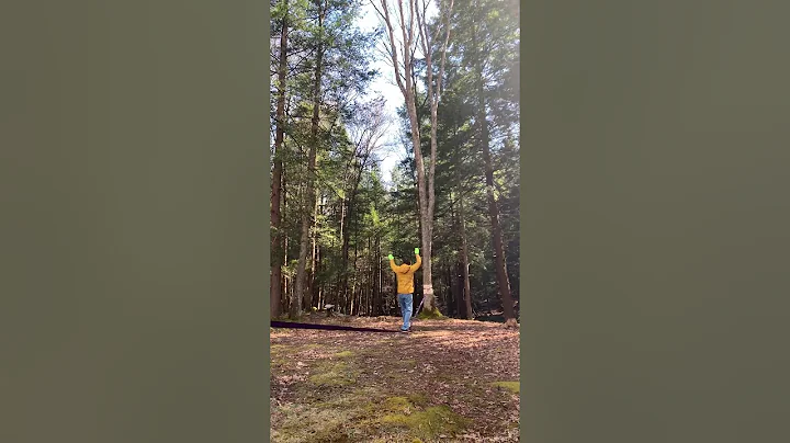 Slackline Windwalk surfing through forest on a win...