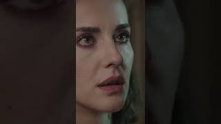 Şahin Gece Yarısı İpeki Öptü Resimi