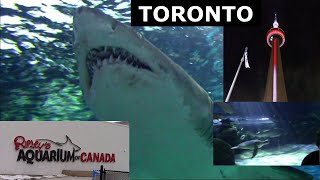 Flying to Toronto For Our Anniversary | Day 1 | Ripley's Aquarium of Canada by Just Carry-On   Travel + DIY 79 views 3 months ago 29 minutes