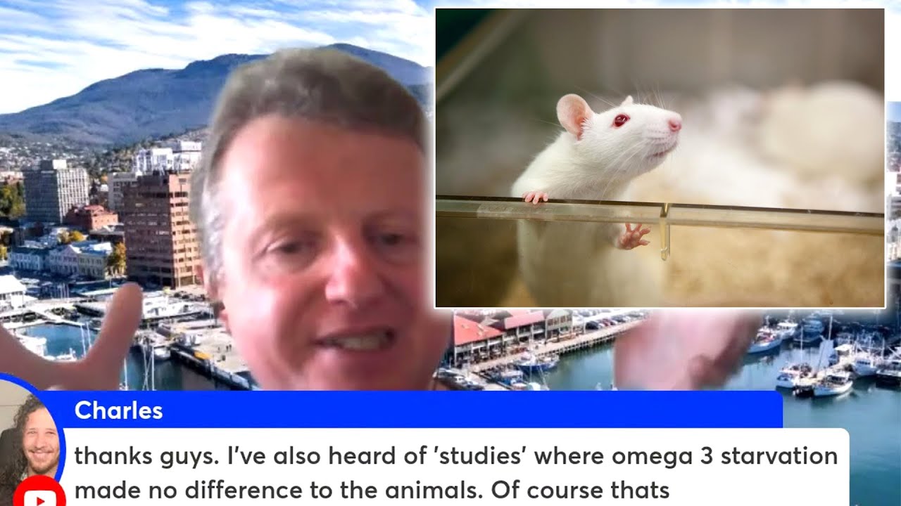 Are Animal Studies On Nutrition Useful HarrySerpanos YouTube are-animal-studies-on-nutrition-useful-harryserpanos-youtube