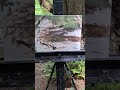 Plein Air by a River! #art #painting #pleinair #outdoorpainting #pleinairpainting
