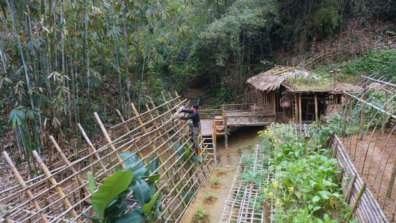 Time Lapse: The one-year process of building and developing a farm in ...