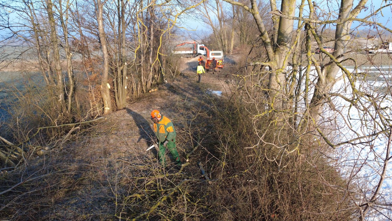 Huyradweg - Freischneiden