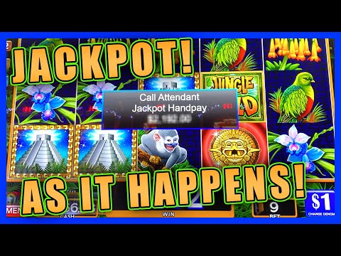 MY JUNGLE WILD JACKPOT HANDPAY and MORE!! ★ HIGH LIMIT SLOT PLAY ➜ HOW JAMES BOND BROUGHT ME LUCK!