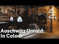 Auschwitz Untold: In Colour | Story You Never Heard - Jewish Resistance That Bombed a Gas Chamber