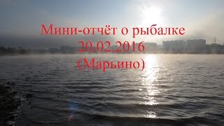 Мини-отчёт о рыбалке. 20.02.2016. Москва-река (Марьино). Зимний спиннинг.