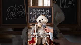 회의실에서 당신도 매일 하는 짓...벌거벗은 임금님의 충격 정체 #댕댕뉴스 #알겠어