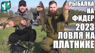 Рыбалка в Беларуси на фидер 2023. Ловля на платнике.