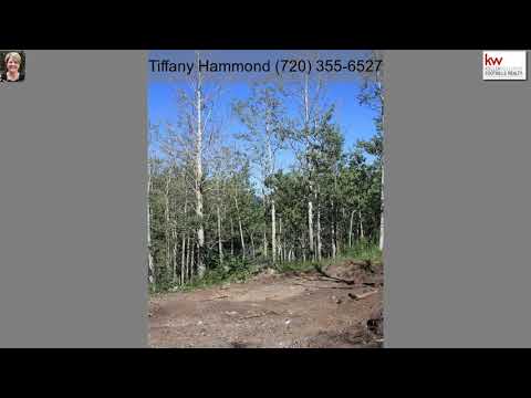 461 South Dory Lakes Drive, Black Hawk, CO home video tour