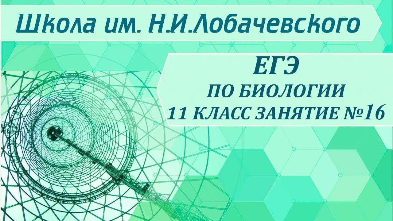 ЕГЭ по биологии 11 класс Занятие №16 Общая характеристика царства растений. Классификация растений