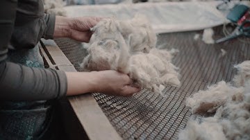 Careful Hand Sorting