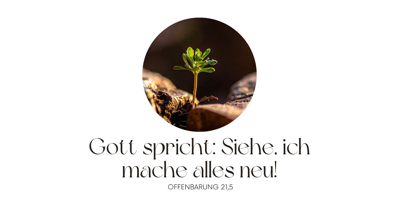 Jahreslosung für 2026 | Gott Spricht: Siehe, ich mache alles neu ...