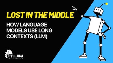 How Language Models Use Long Contexts (LLM)?