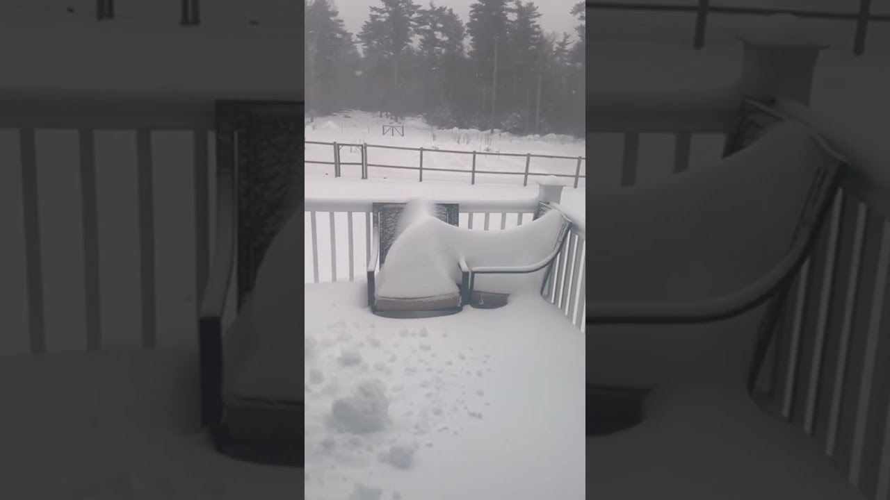 “Snow run with Mowgli. ❄️☃️🐾