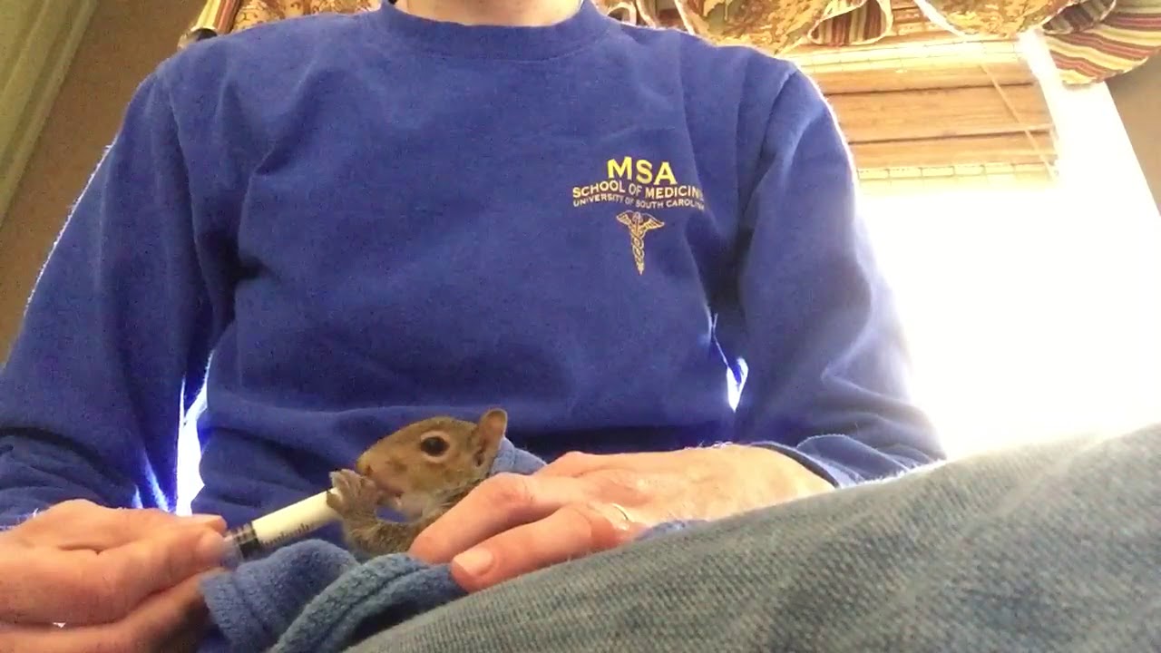 camera iphone 8 plus apk Formula feeding a hungry, young squirrel!