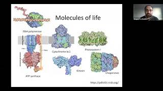 Protein sequence design by explicit energy landscape optimization