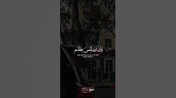ما تيسر من سورة الحج 🤍 ｜ عبدالرحمن مسعد ｜ قرآن كريم