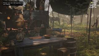 RDR2 - Bought Leather Working Tools