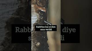 Rabbin Her Daim Seninle.. Dini Sohbetler