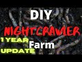 Nightcrawler Farm Update - 1 Year Update