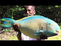 BIG PARROT FISH TANDOORI | COLOR KILI FISH RECIBE | Primitive technology prepare by Karuppasami