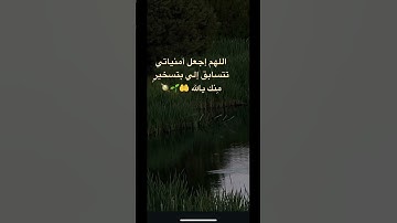 #فيديو #القارئ_اسلام_صبحي #تلاوة_خاشعة #تلاوات #سورة_البقرة #تلاوة #آيات #اكسبلور #راحة_نفسية