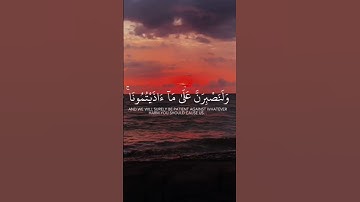 أكتب شيئا تؤجر عليه #القران_الكريم #المغرب #السعودية #تلاوة_خاشعة #تلاوة_هادئة #العراق