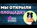 Как мы открыли площадку для выгула собак 🐶 И почему больше не откроем 🐕